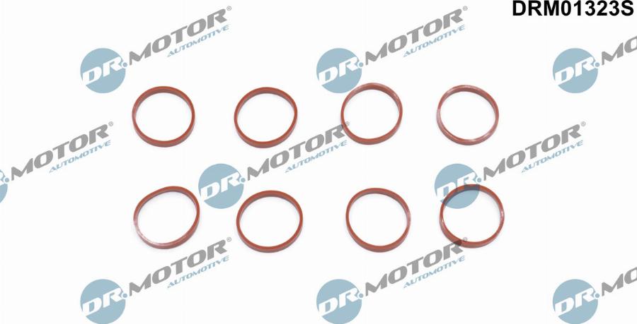 Dr.Motor Automotive DRM01323S - Set garnituri, galerie admisie aaoparts.ro