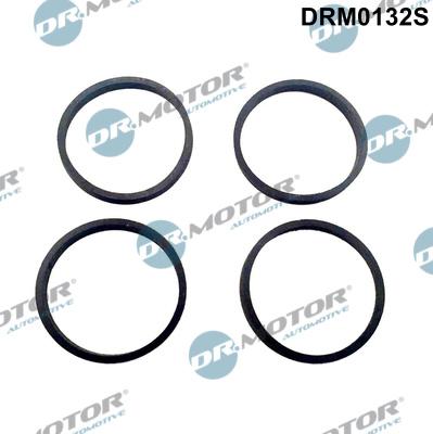 Dr.Motor Automotive DRM0132S - Set garnituri, galerie admisie aaoparts.ro