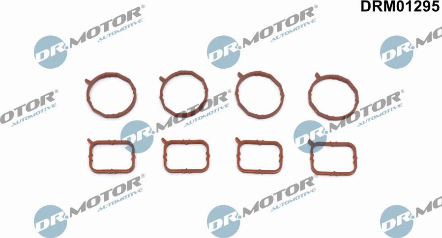 Dr.Motor Automotive DRM01295 - Set garnituri, galerie admisie aaoparts.ro