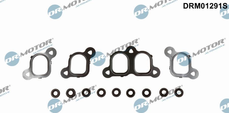 Dr.Motor Automotive DRM01291S - Set garnituri, galerie admisie aaoparts.ro