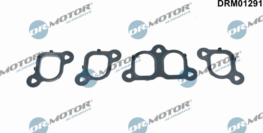 Dr.Motor Automotive DRM01291 - Set garnituri, galerie admisie aaoparts.ro