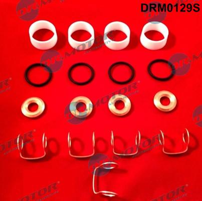 Dr.Motor Automotive DRM0129S - Set garnituri etansare,injectoare aaoparts.ro