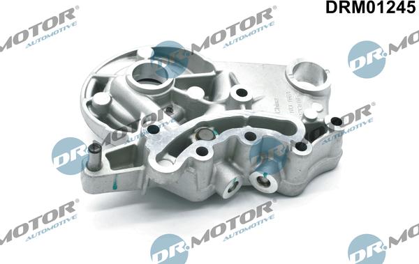 Dr.Motor Automotive DRM01245 - Portlagăr, arbore cu came aaoparts.ro