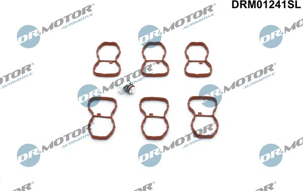 Dr.Motor Automotive DRM01241SL - Set pentru reparat, modul țeavă de aspirație aaoparts.ro