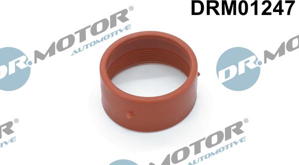 Dr.Motor Automotive DRM01247 - Inel etansare, furtun aer supraalimentare aaoparts.ro