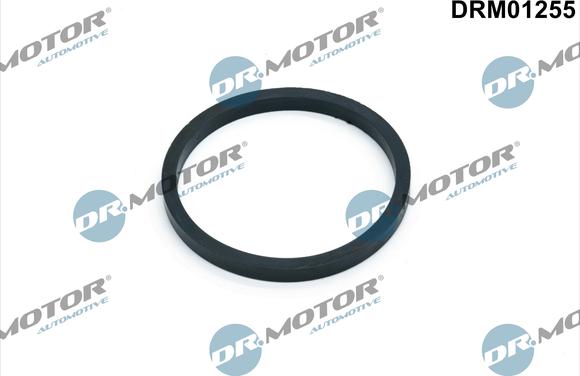 Dr.Motor Automotive DRM01255 - Etansare, racire ulei aaoparts.ro