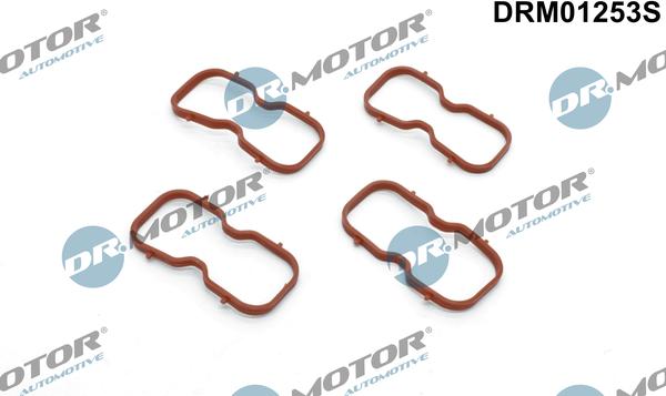 Dr.Motor Automotive DRM01253S - Set garnituri, galerie admisie aaoparts.ro