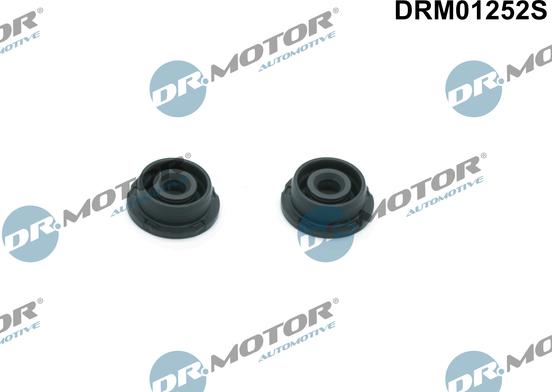 Dr.Motor Automotive DRM01252S - Set garnituri, Capac supape aaoparts.ro
