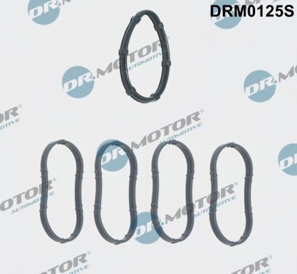 Dr.Motor Automotive DRM0125S - Set garnituri, galerie admisie aaoparts.ro