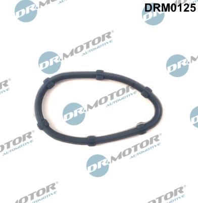 Dr.Motor Automotive DRM0125 - Garnitura, galerie admisie aaoparts.ro