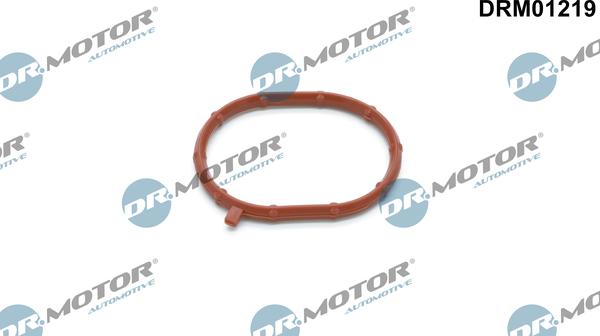 Dr.Motor Automotive DRM01219 - Inel etansare, compresor aaoparts.ro