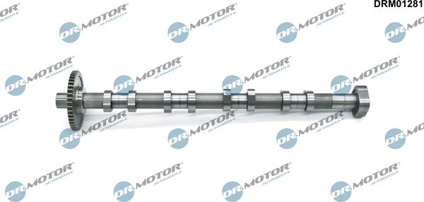 Dr.Motor Automotive DRM01281 - Ax cu came aaoparts.ro