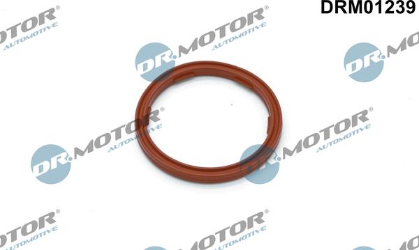 Dr.Motor Automotive DRM01239 - Inel etansare, senzor nivel ulei motor aaoparts.ro