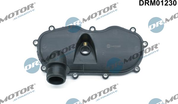 Dr.Motor Automotive DRM01230 - Acoperire carcasă distribuție aaoparts.ro