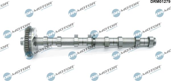 Dr.Motor Automotive DRM01279 - Ax cu came aaoparts.ro