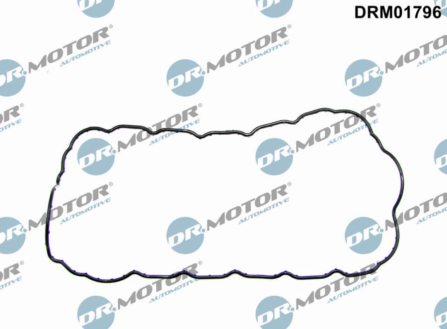 Dr.Motor Automotive DRM01796 - Garnitura baie ulei aaoparts.ro