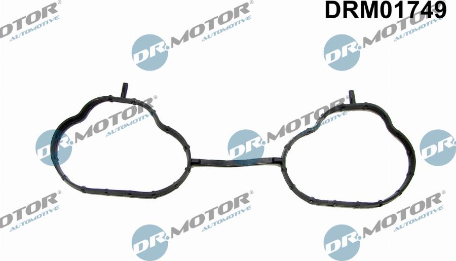 Dr.Motor Automotive DRM01749 - Garnitura, galerie admisie aaoparts.ro