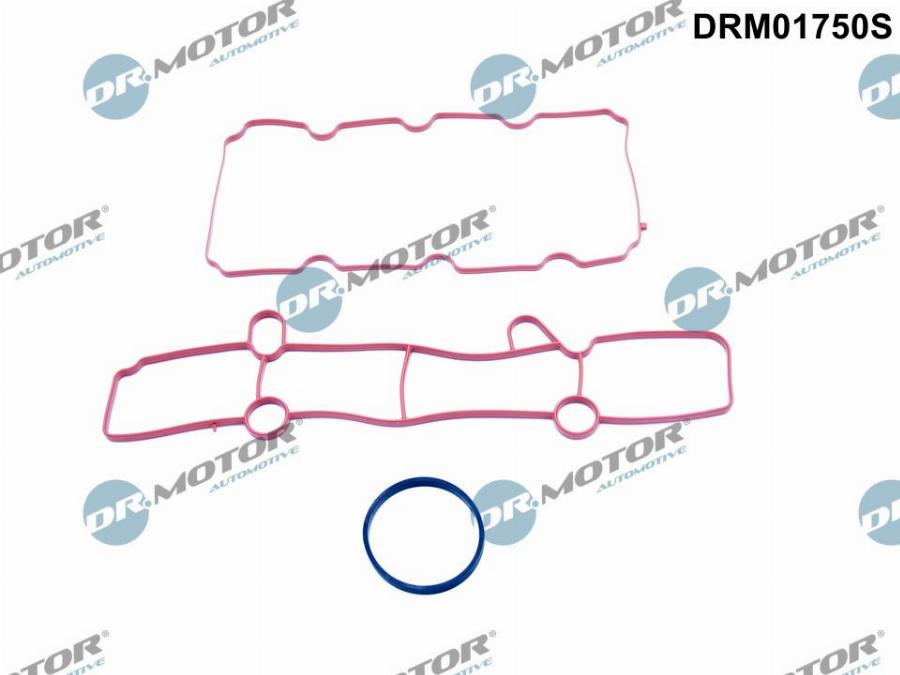 Dr.Motor Automotive DRM01750S - Set garnituri, galerie admisie aaoparts.ro