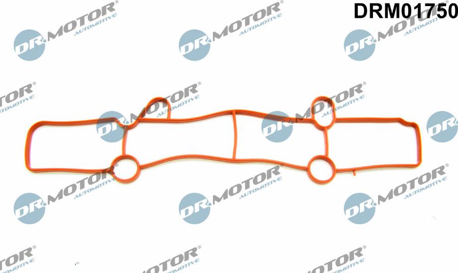 Dr.Motor Automotive DRM01750 - Garnitura, galerie admisie aaoparts.ro