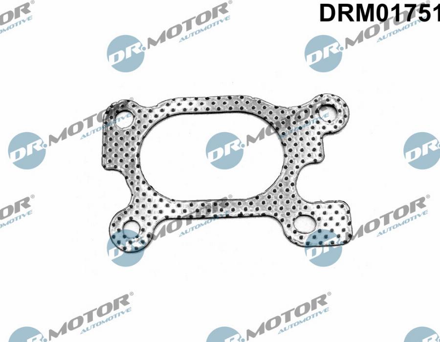 Dr.Motor Automotive DRM01751 - Garnitura, galerie evacuare aaoparts.ro