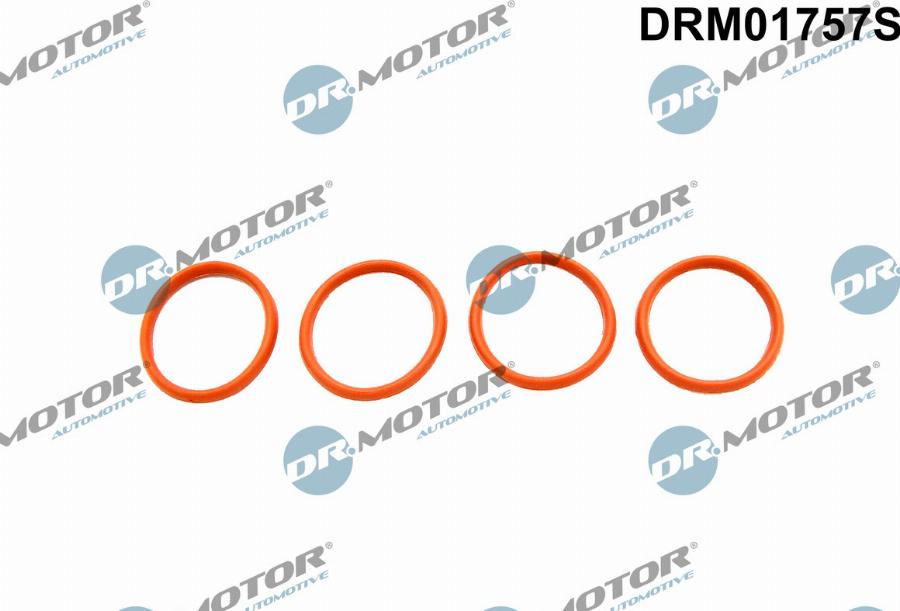 Dr.Motor Automotive DRM01757S - Set garnituri, galerie admisie aaoparts.ro