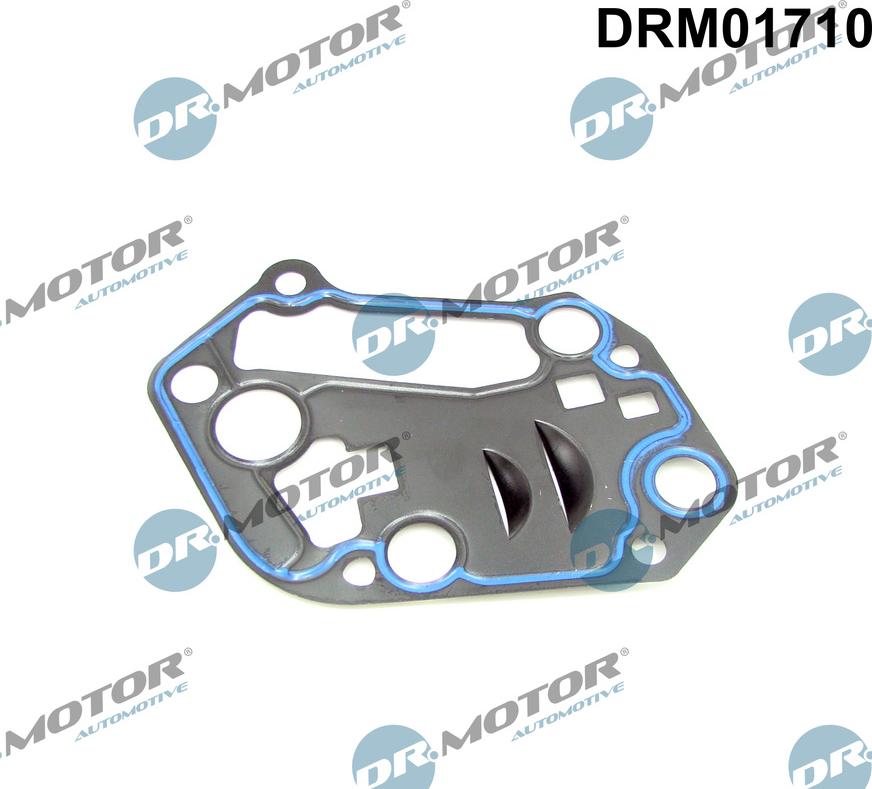 Dr.Motor Automotive DRM01710 - Garnituri, carcasa filtru ulei aaoparts.ro