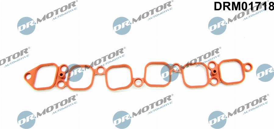 Dr.Motor Automotive DRM01718 - Garnitura, galerie admisie aaoparts.ro