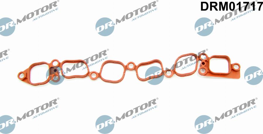 Dr.Motor Automotive DRM01717 - Garnitura, galerie admisie aaoparts.ro