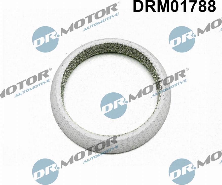 Dr.Motor Automotive DRM01788 - Garnitura, racord evacuare aaoparts.ro