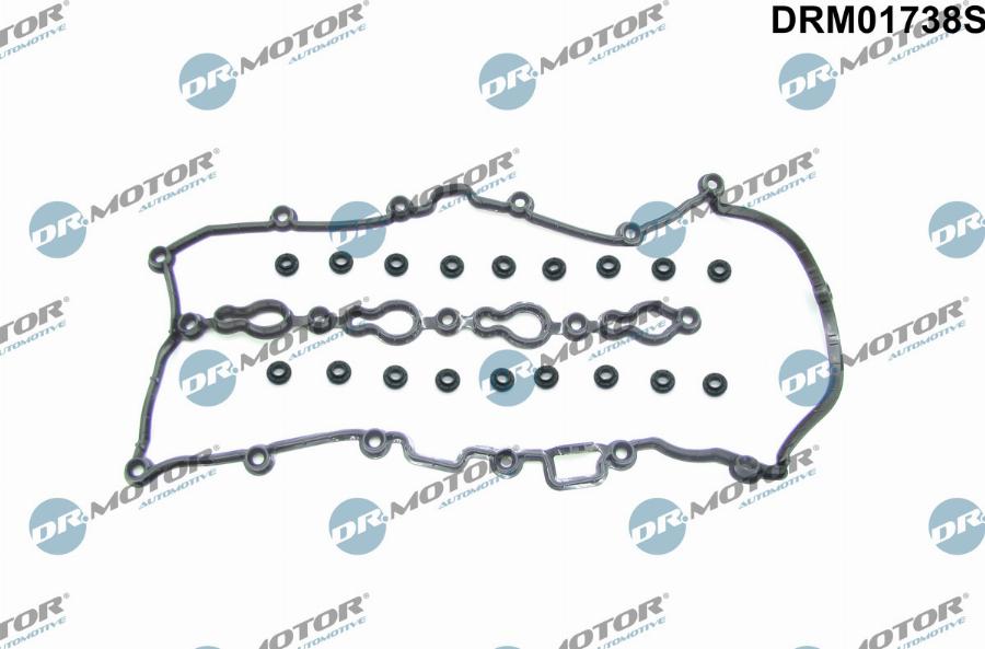 Dr.Motor Automotive DRM01738S - Set garnituri, Capac supape aaoparts.ro