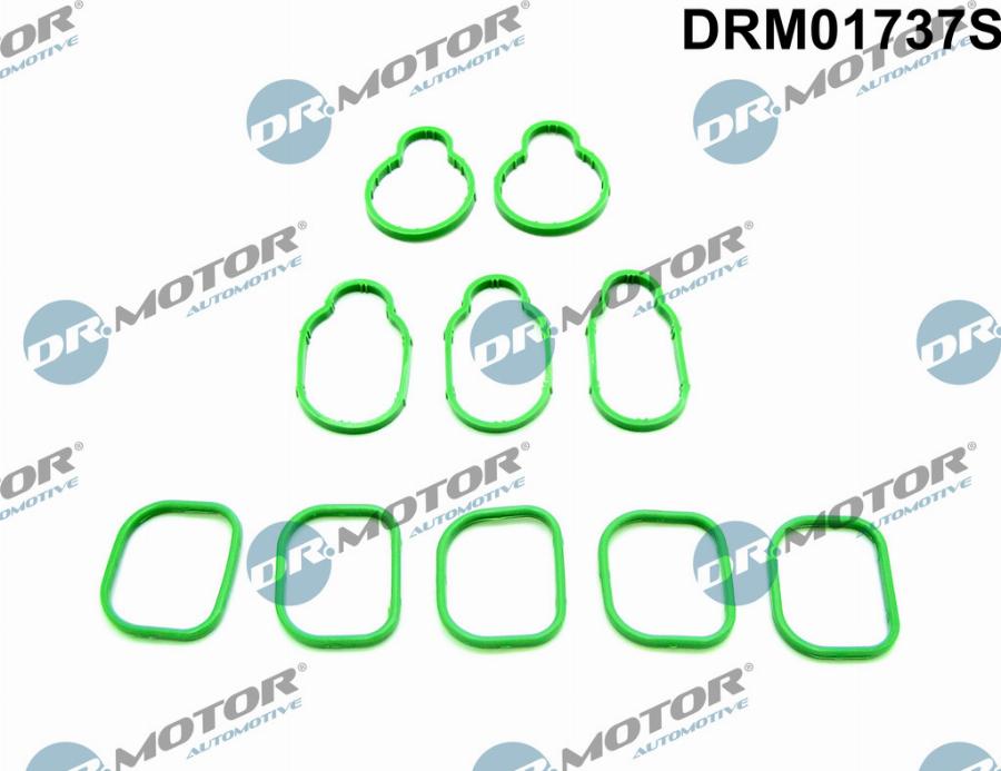 Dr.Motor Automotive DRM01737S - Set garnituri, galerie admisie aaoparts.ro