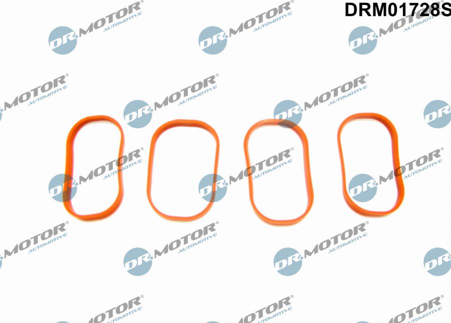 Dr.Motor Automotive DRM01728S - Set garnituri, galerie admisie aaoparts.ro