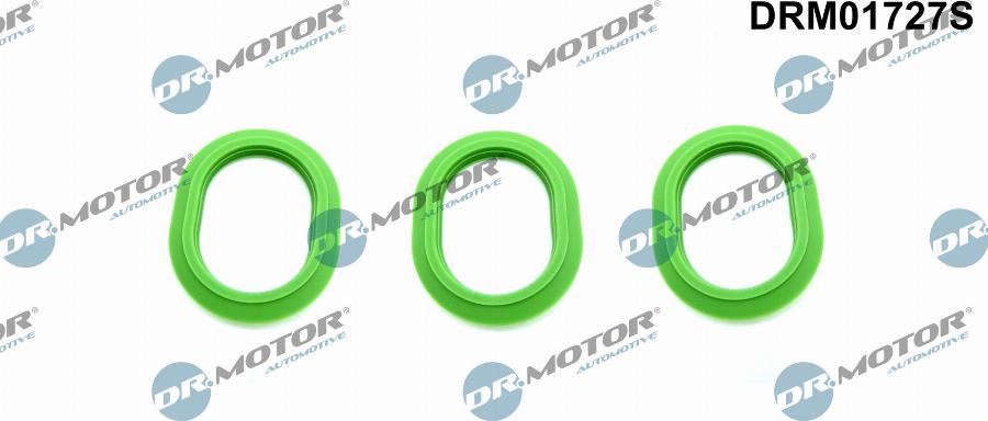 Dr.Motor Automotive DRM01727S - Set garnituri, galerie admisie aaoparts.ro