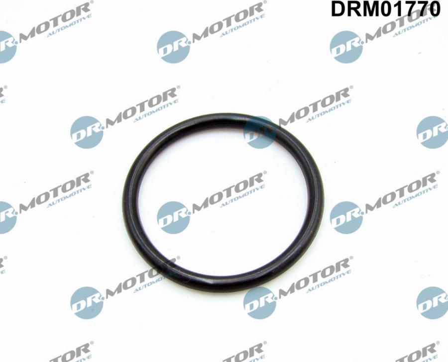 Dr.Motor Automotive DRM01770 - Garnitura, galerie admisie aaoparts.ro