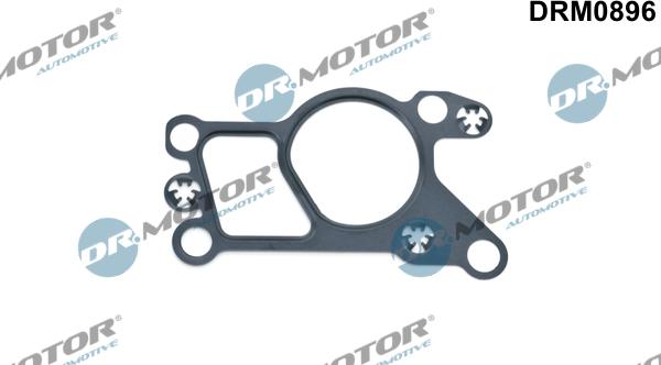 Dr.Motor Automotive DRM0896 - Garnitura, ventil AGR aaoparts.ro