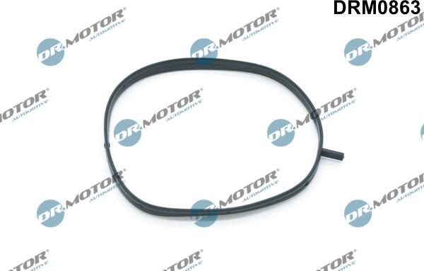 Dr.Motor Automotive DRM0863 - Garnitura, Carcasa galerie admisie aaoparts.ro