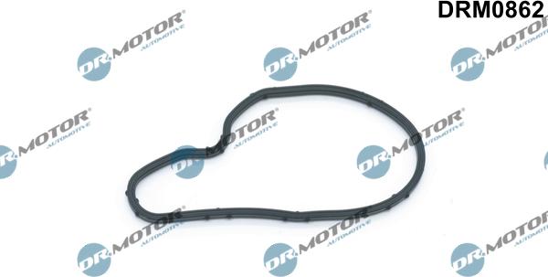 Dr.Motor Automotive DRM0862 - Garnitura, pompa vacuum aaoparts.ro