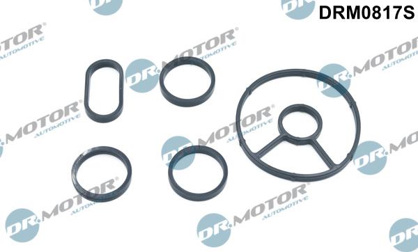 Dr.Motor Automotive DRM0817S - Set garnituri, radiator ulei aaoparts.ro