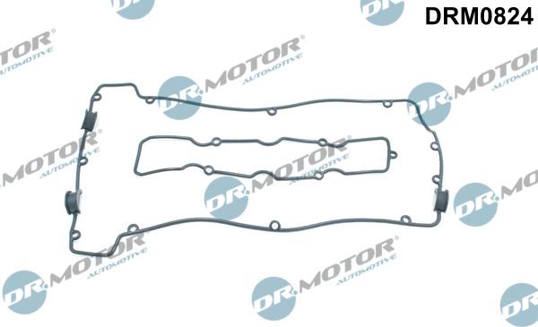 Dr.Motor Automotive DRM0824 - Garnitura, capac supape aaoparts.ro