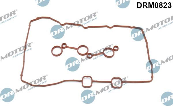 Dr.Motor Automotive DRM0823 - Garnitura, capac supape aaoparts.ro