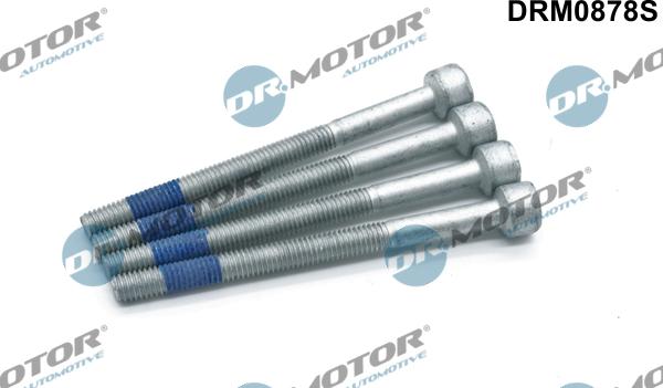 Dr.Motor Automotive DRM0878S - Surub, suport injector aaoparts.ro