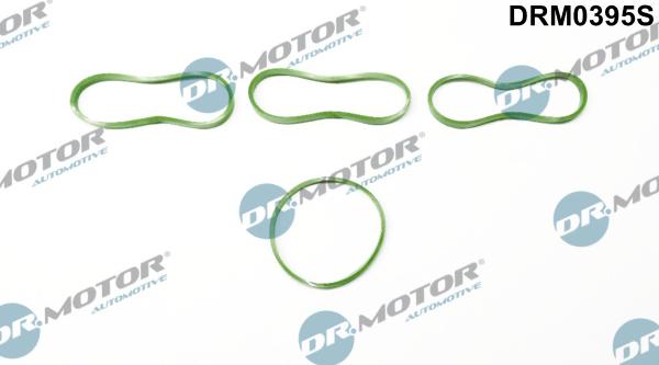 Dr.Motor Automotive DRM0395S - Set garnituri, galerie admisie aaoparts.ro