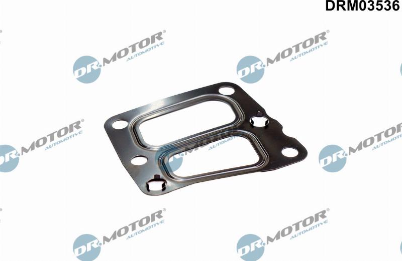 Dr.Motor Automotive DRM03536 - Garnitura, ventil AGR aaoparts.ro