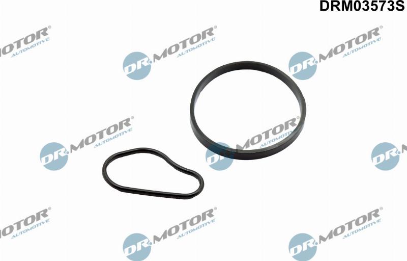 Dr.Motor Automotive DRM03573S - Set etansare, pompa vacuum aaoparts.ro