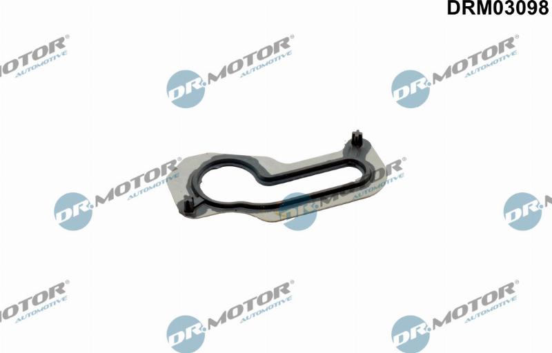 Dr.Motor Automotive DRM03098 - Garnitura baie ulei aaoparts.ro
