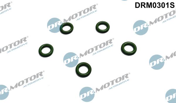 Dr.Motor Automotive DRM0301S - Clapeta de inchidere,supracurgere combustibil aaoparts.ro