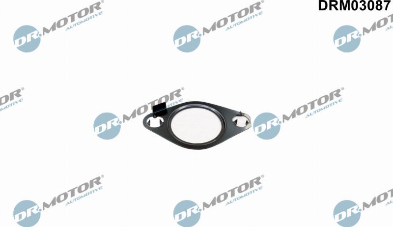 Dr.Motor Automotive DRM03087 - Garnitura, ventil AGR aaoparts.ro