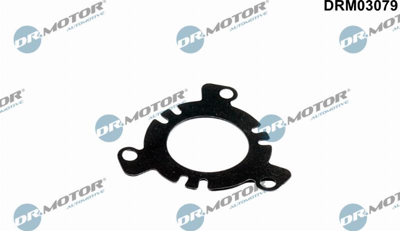 Dr.Motor Automotive DRM03079 - Garnitura, pompa injectie aaoparts.ro