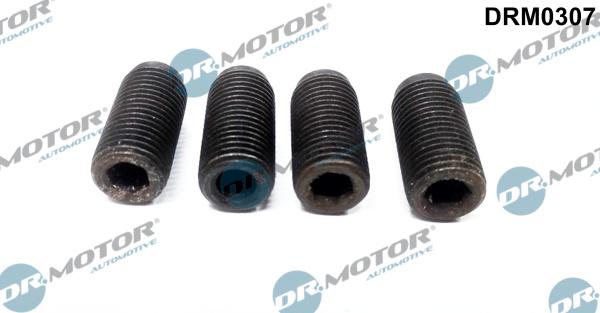 Dr.Motor Automotive DRM0307 - Surub ajustare pompa injectie aaoparts.ro