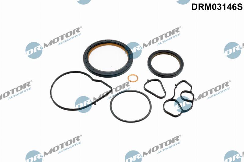 Dr.Motor Automotive DRM03146S - Set garnituri, carter aaoparts.ro